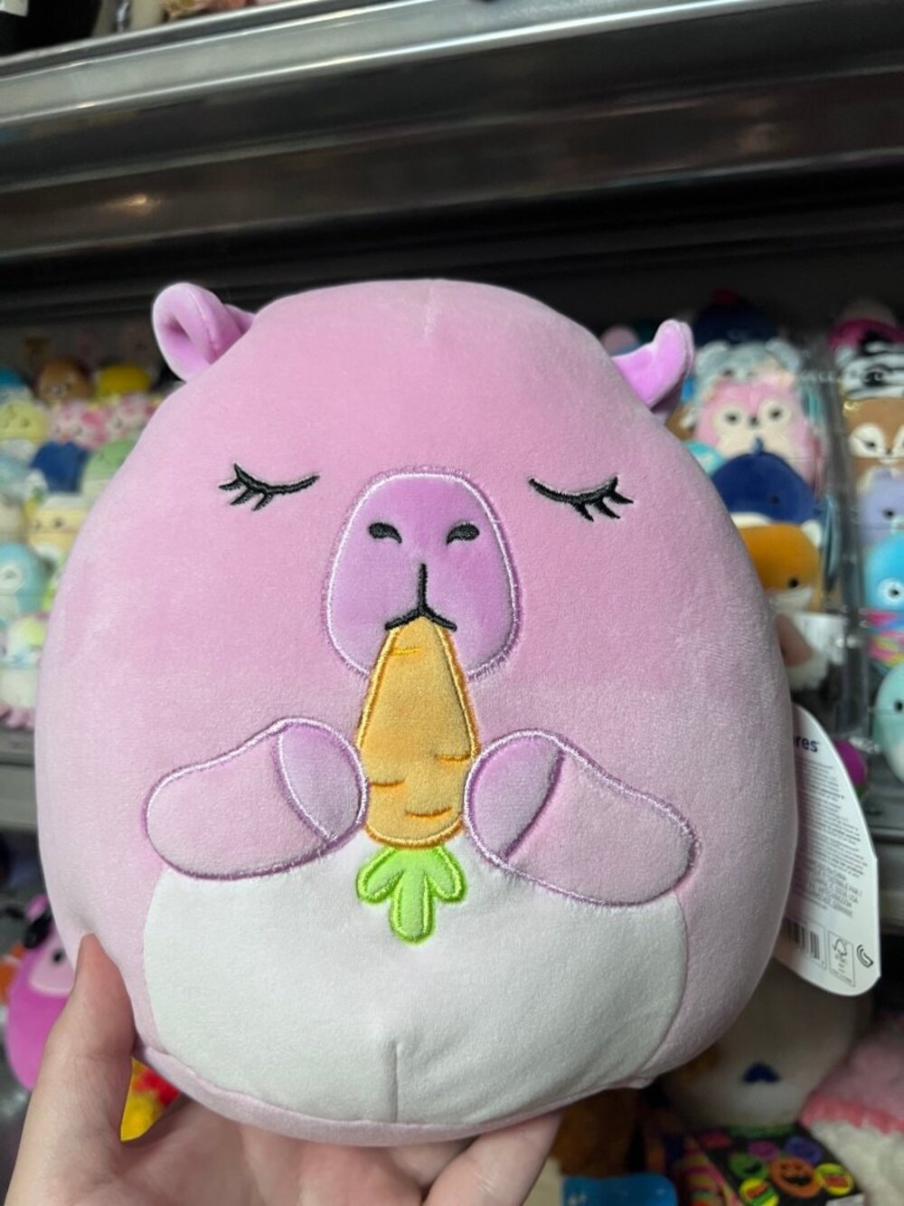 SQUISHMALLOWS PINK CAPYBARA Eating Carrot SELECT SERIES NWT ENYA